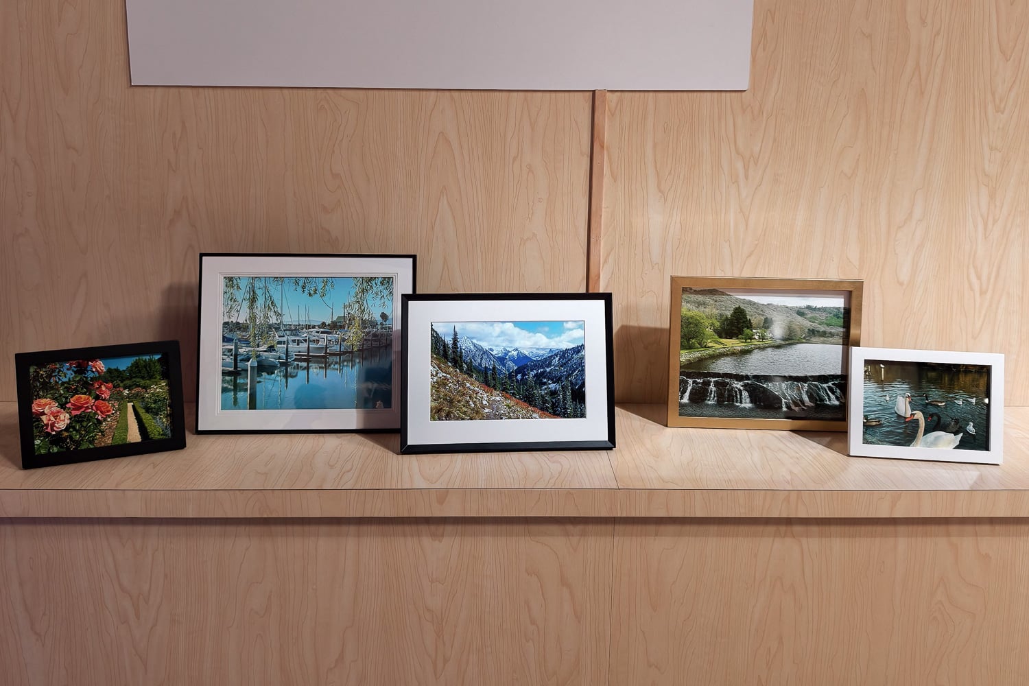 Amazon Alexa Photo Frame Preview Live 03
