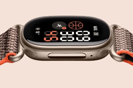 Google Fitbit Edge (1)
