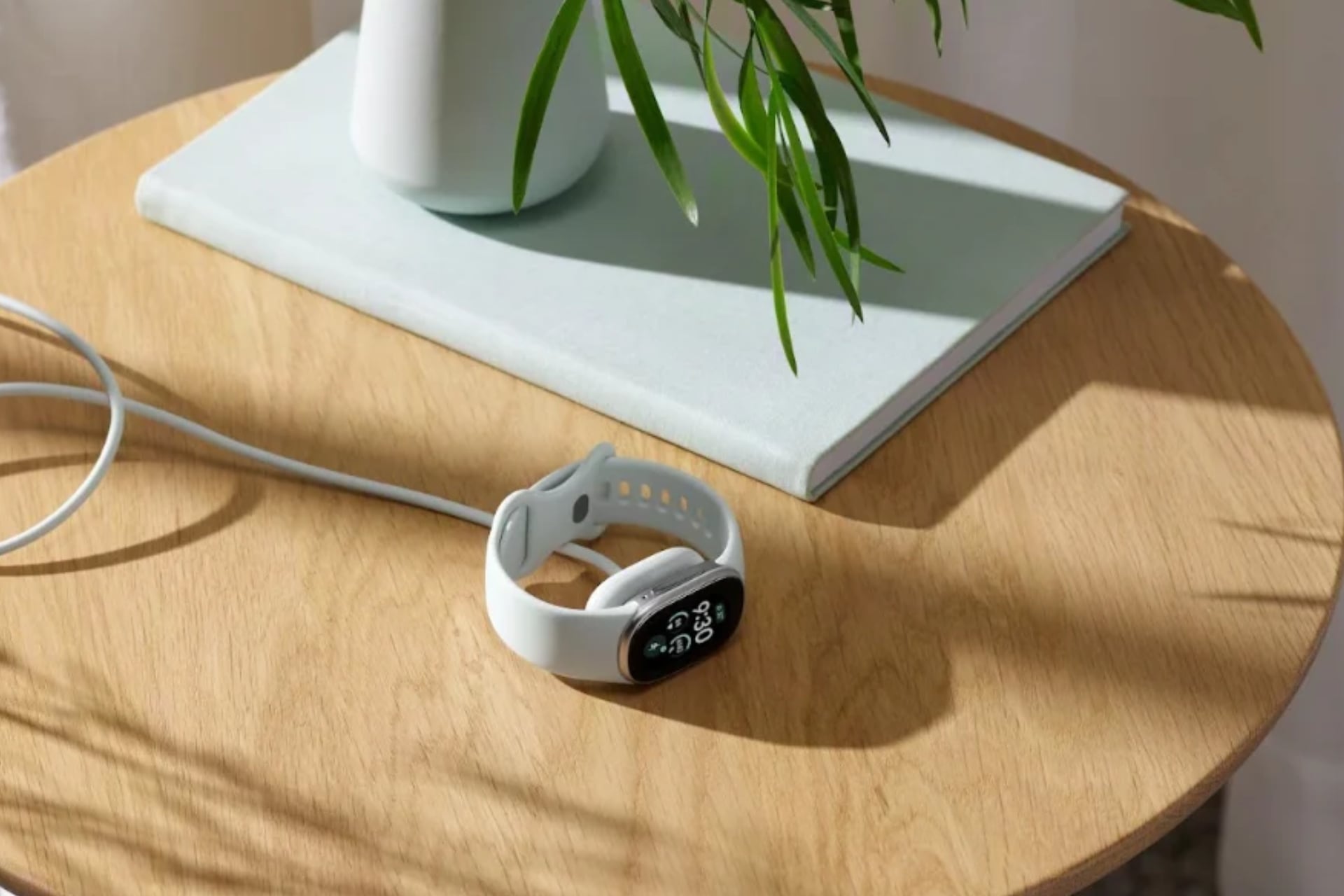 Google Fitbit Edge