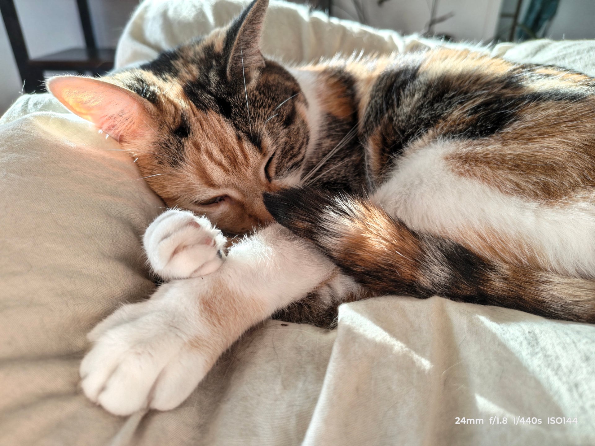 Img 20261001 172152896 Hdr