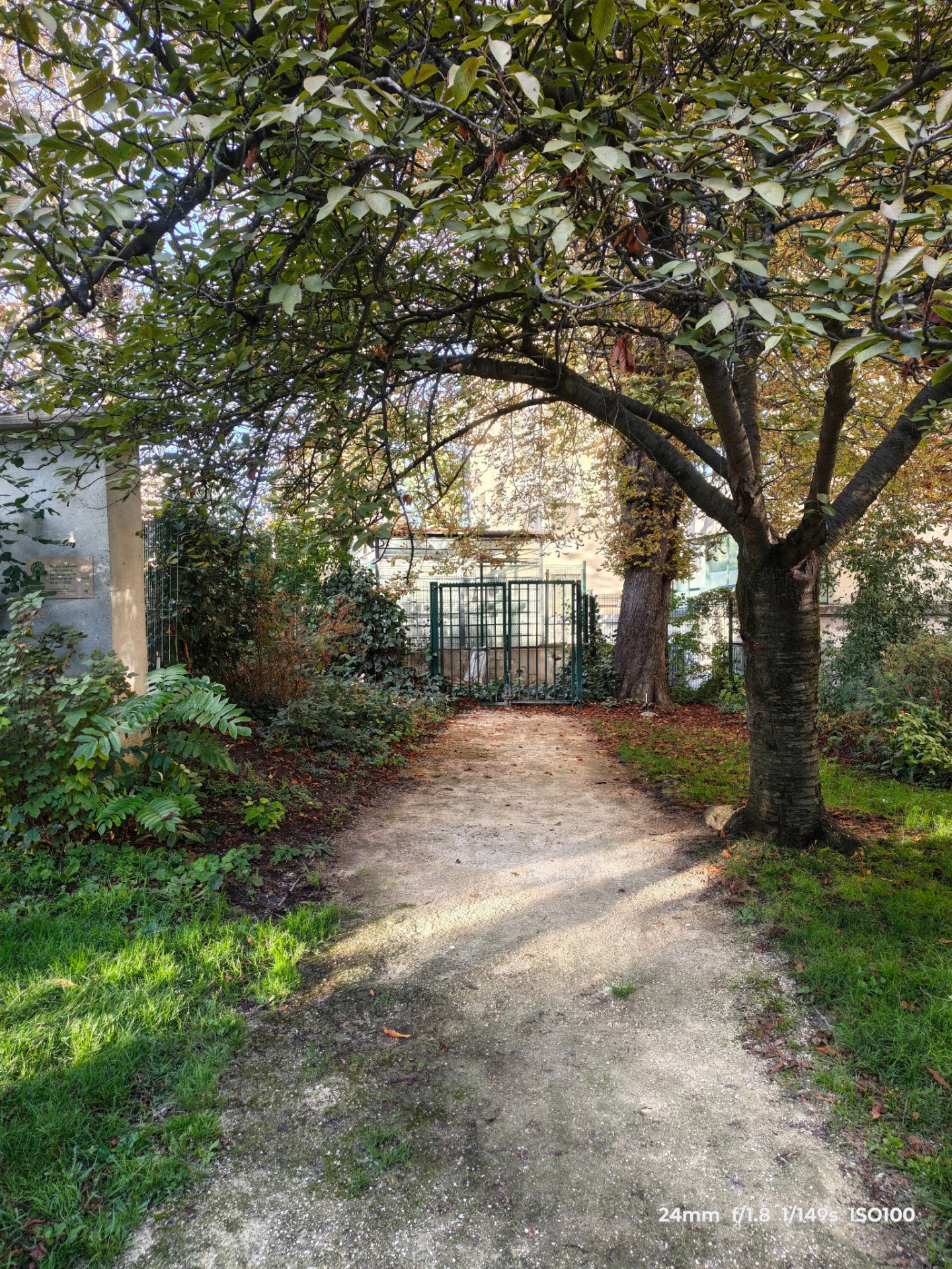Img 20261001 180655661 Hdr