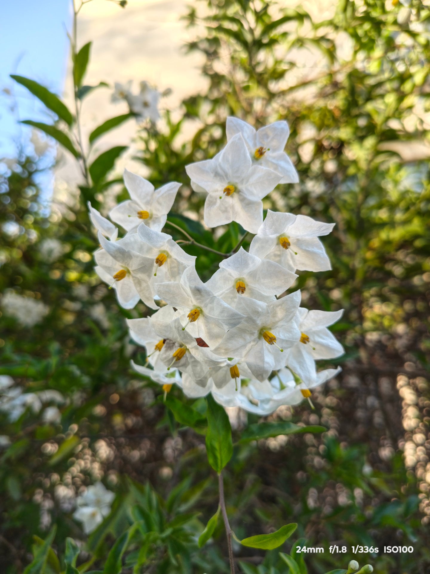Img 20261001 180812172 Hdr
