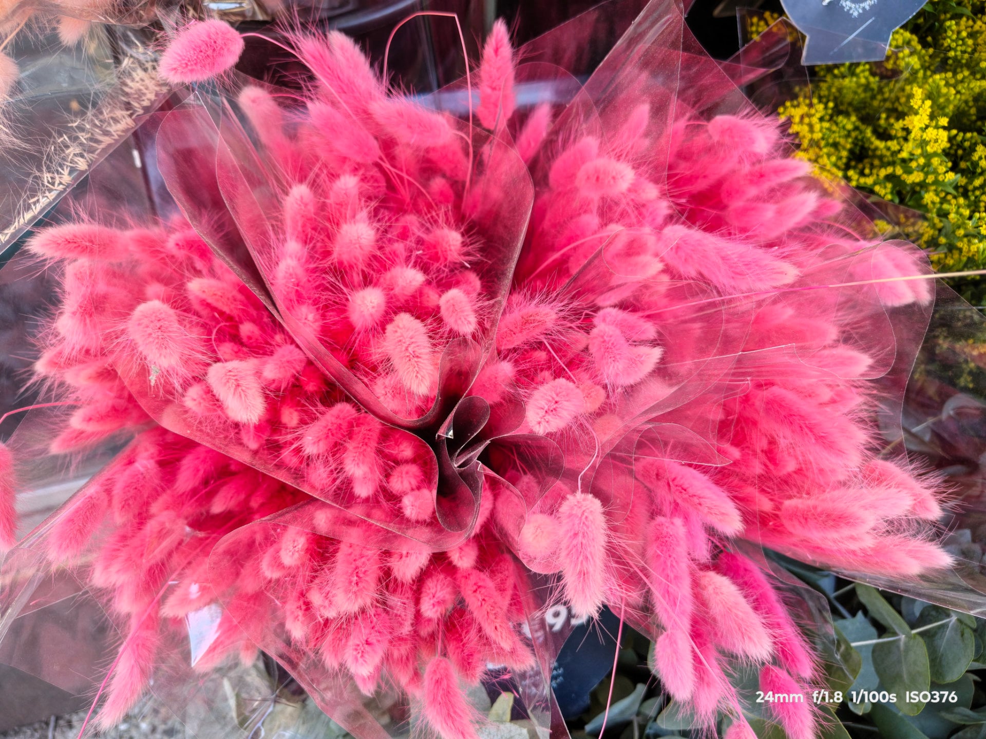 Img 20261001 181009877 Hdr