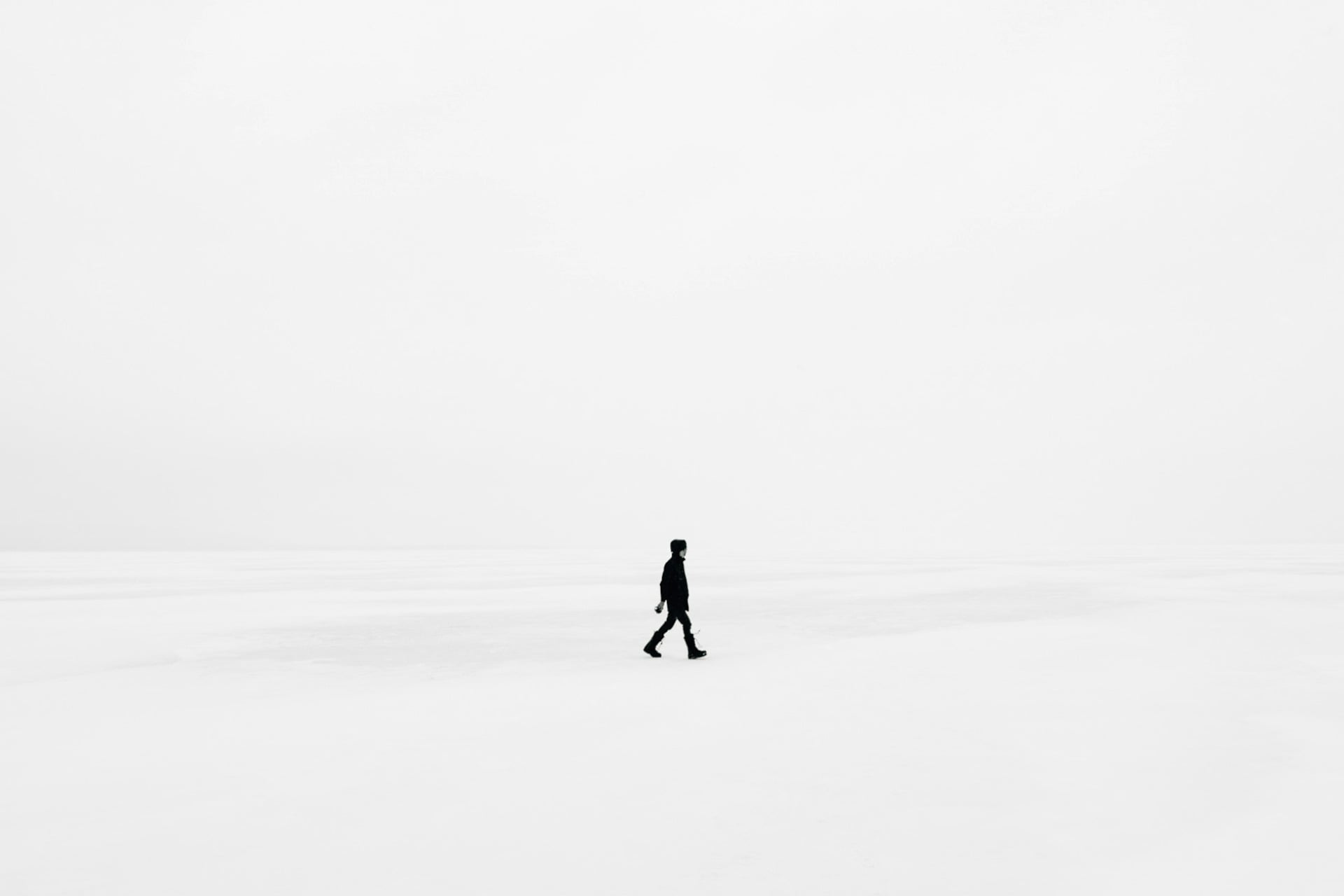 Vide