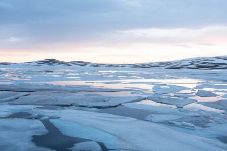 Arctique
