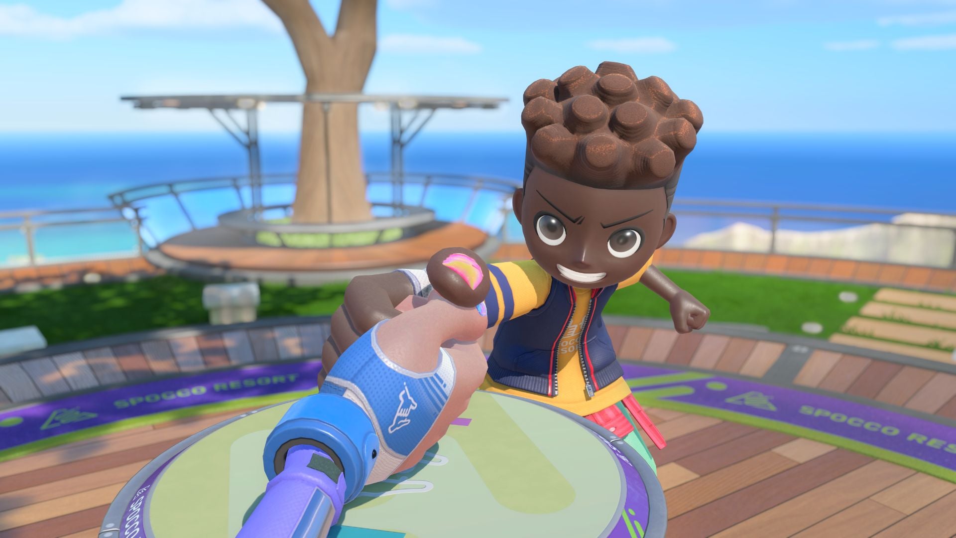 Capture Jeux Nintendo Switch Sports Resort (3)