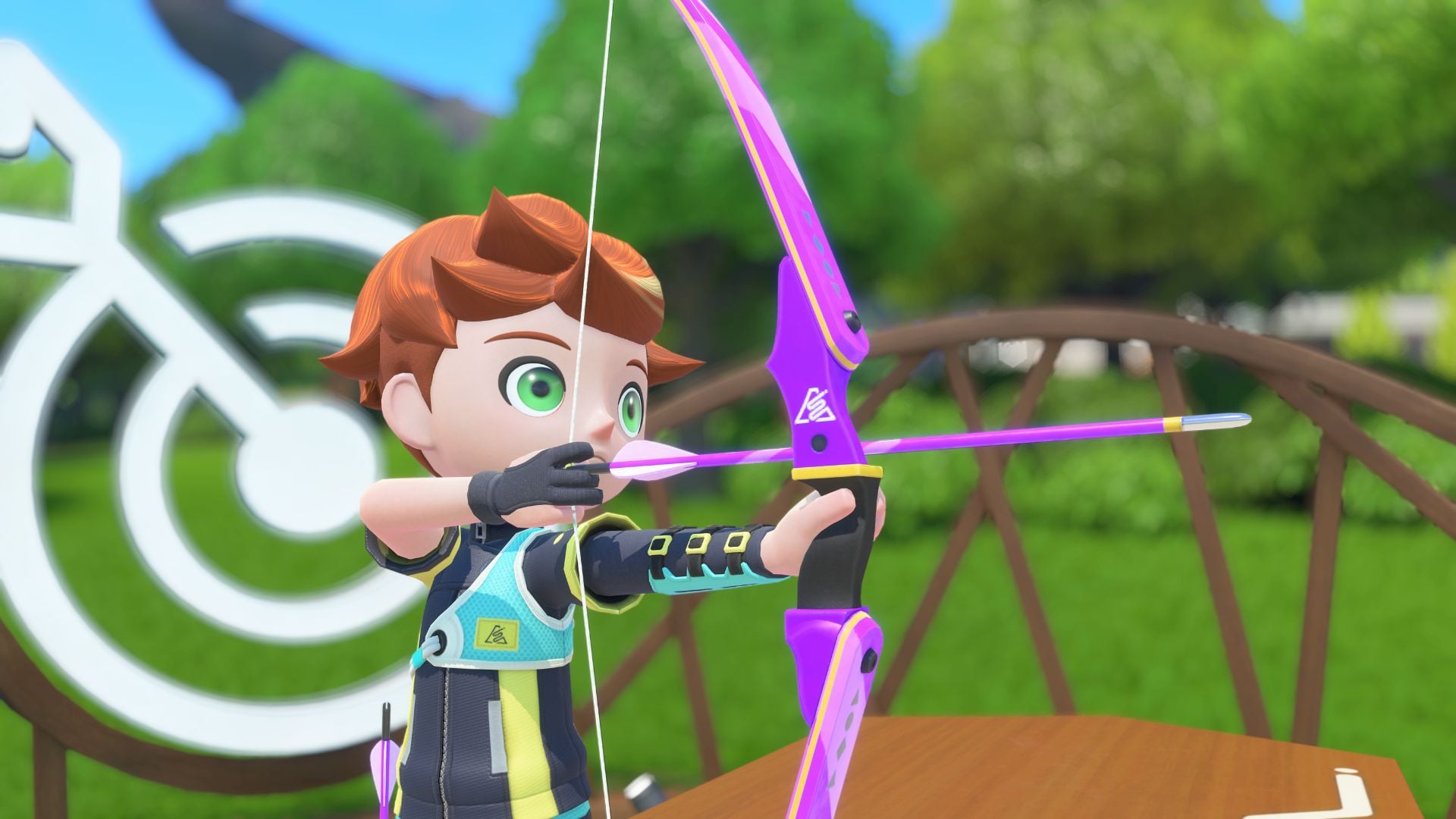 Capture Jeux Nintendo Switch Sports Resort