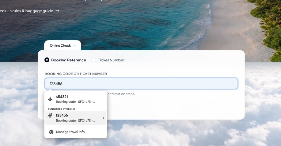 Gemini Remplissage Google Chrome