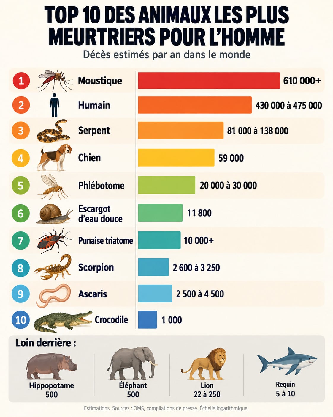 Infographie