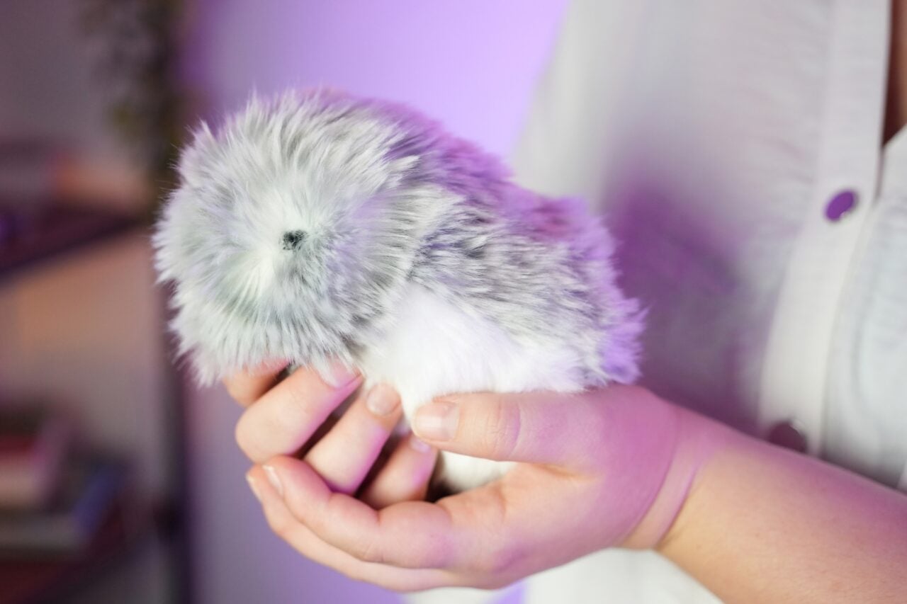 Test du Moflin de Casio : la boule de poils IA qui remplace votre animal de compagnie