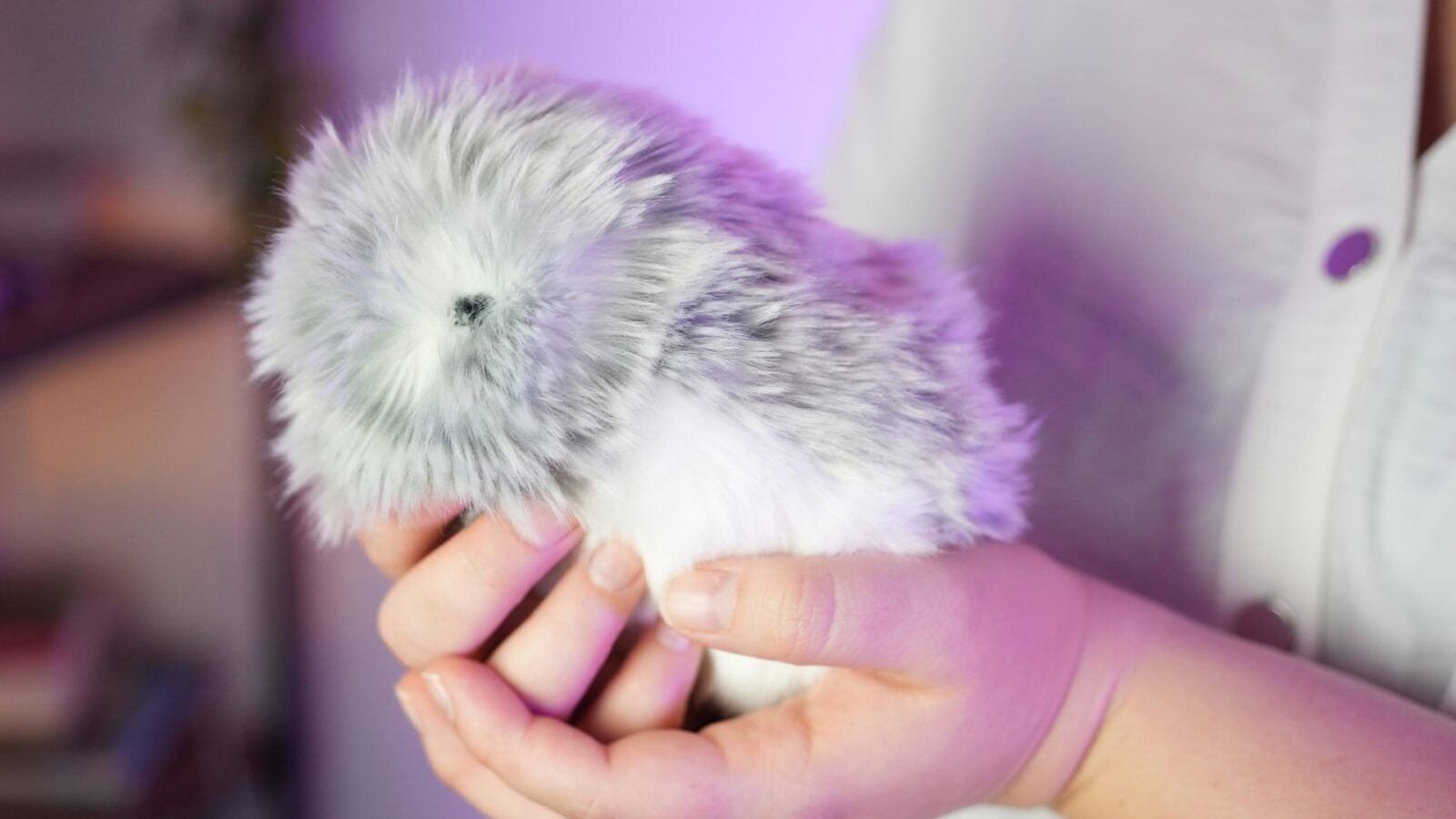 Test du Moflin de Casio : la boule de poils IA qui remplace votre animal de compagnie