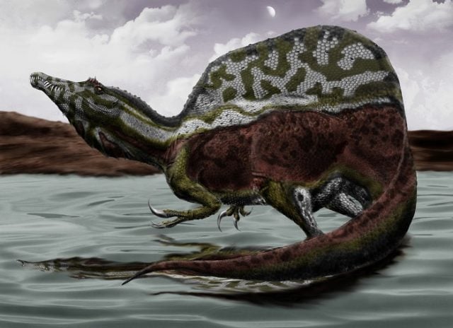 Une nouvelle découverte remet en question notre vision de ce dinosaure iconique