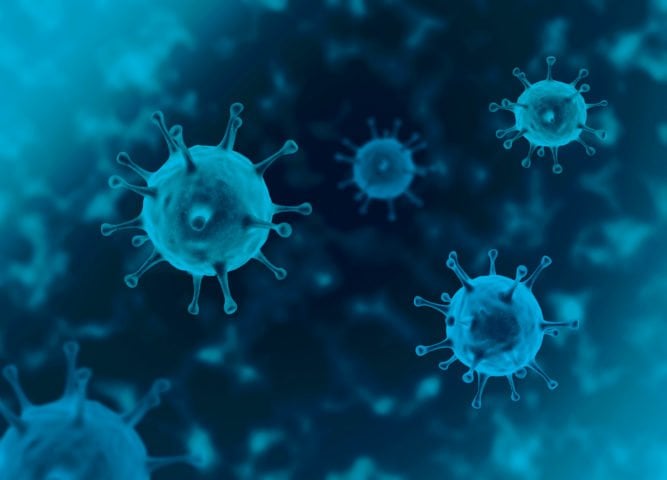 L’OMS et plus de 80 chercheurs s’élèvent contre le concept d’immunité collective