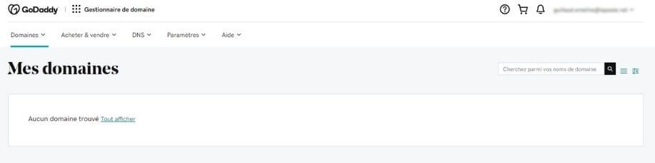 Interface compte GoDaddy
