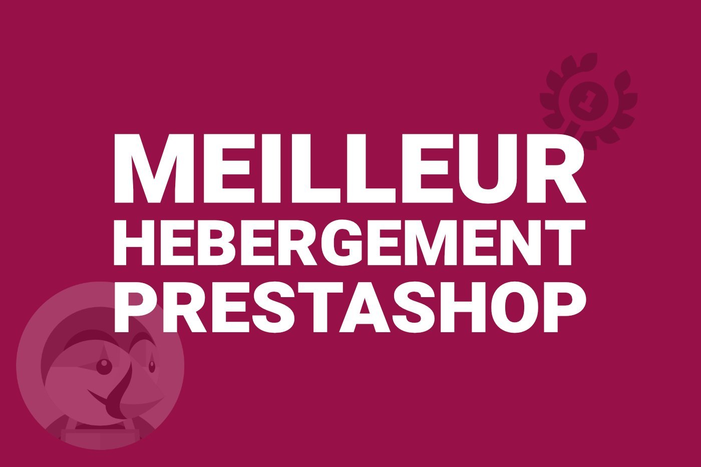 Hébergement web PrestaShop