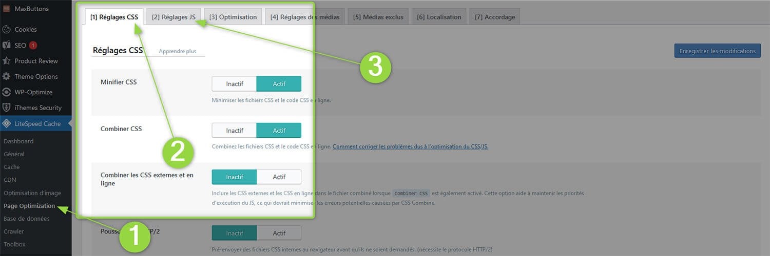 Optimisation CSS JS LiteSpeed Cache