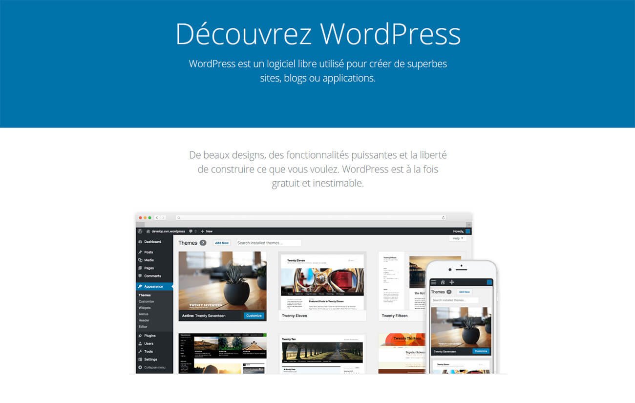 WordPress CMS