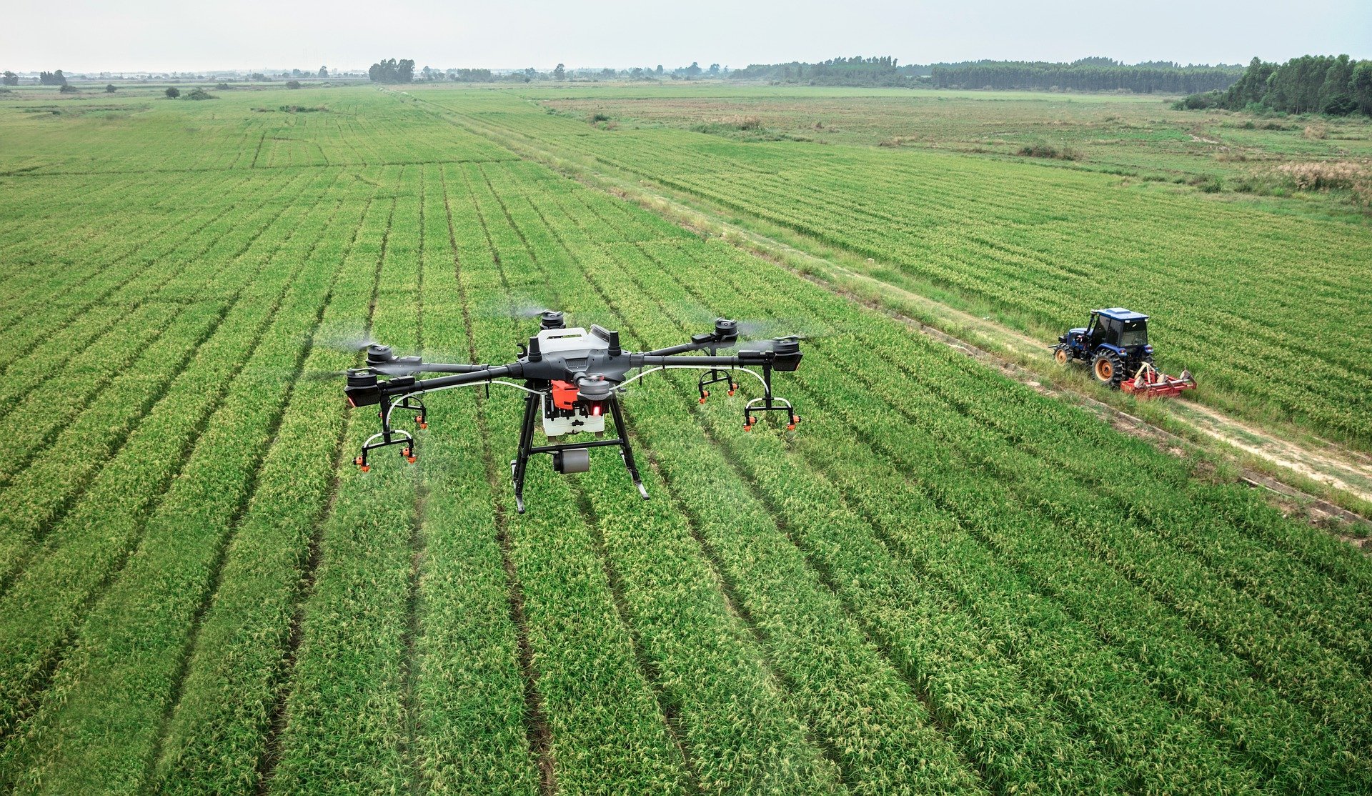 Les drones permettent aux agriculteurs de mieux connaître l'état des récoltes.