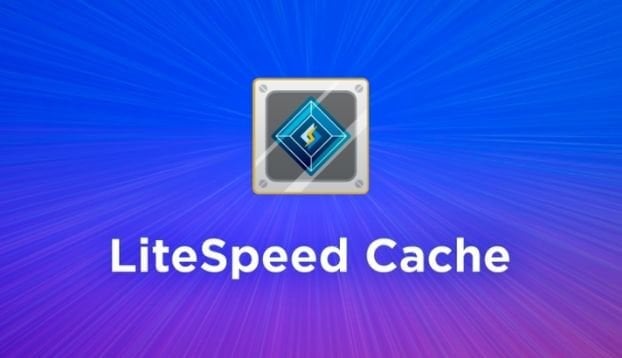 Lite Speed Cache