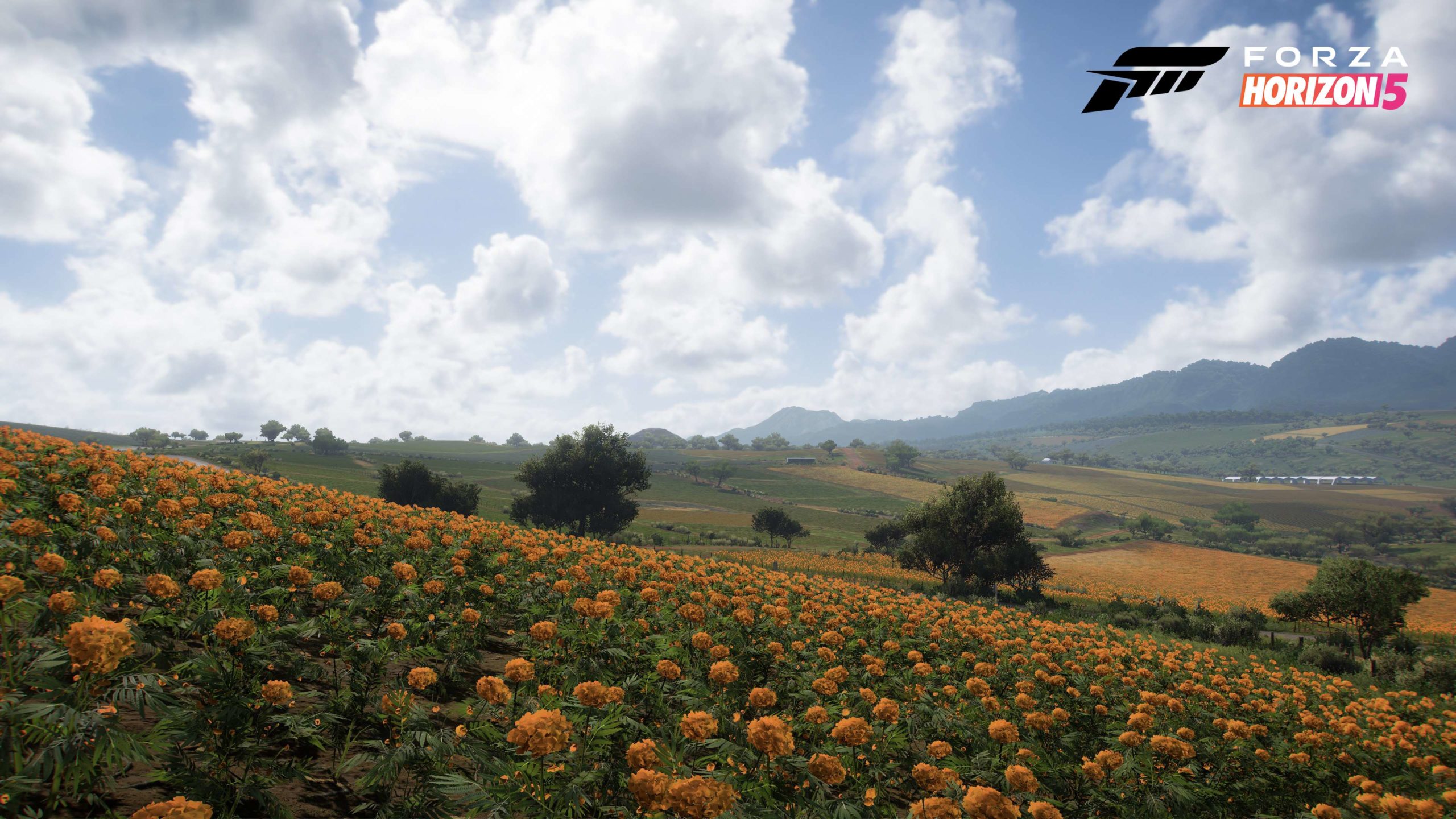 Forza Horizon 5 terres agricoles