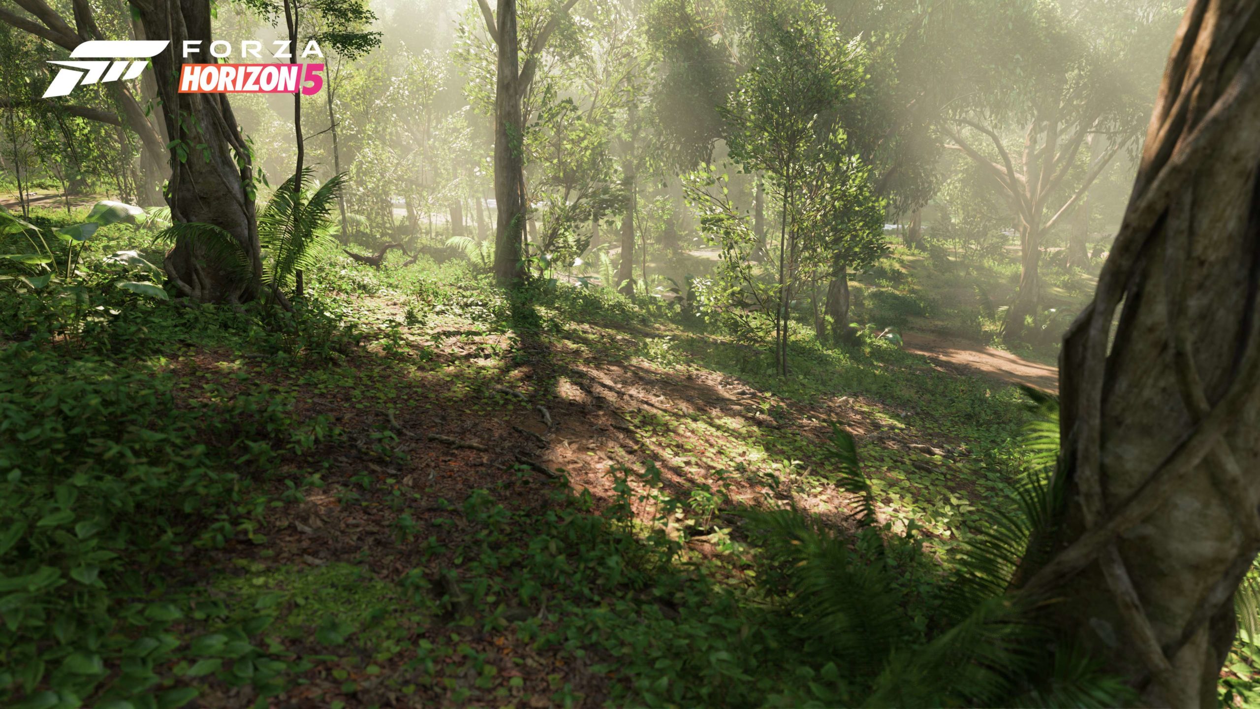 Forza Horizon 5 la jungle