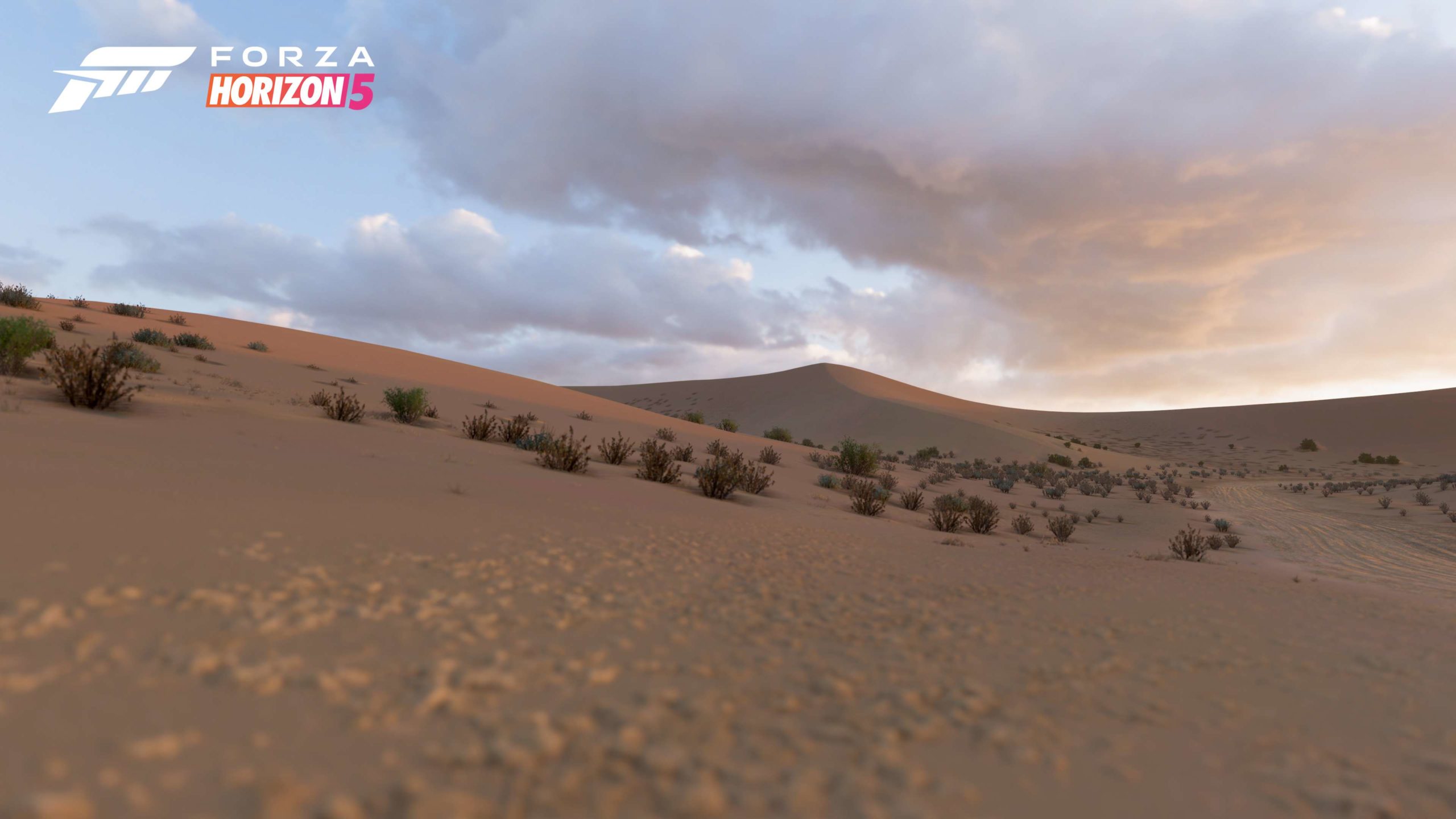 Forza Horizon 5 desert