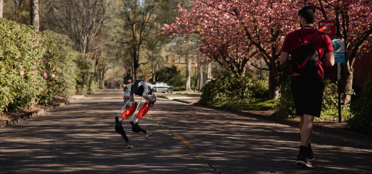 Grâce à son intelligence artificielle, le robot Cassie a marché 5 km