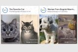 Votre chat ou votre chien est une œuvre d’art !
