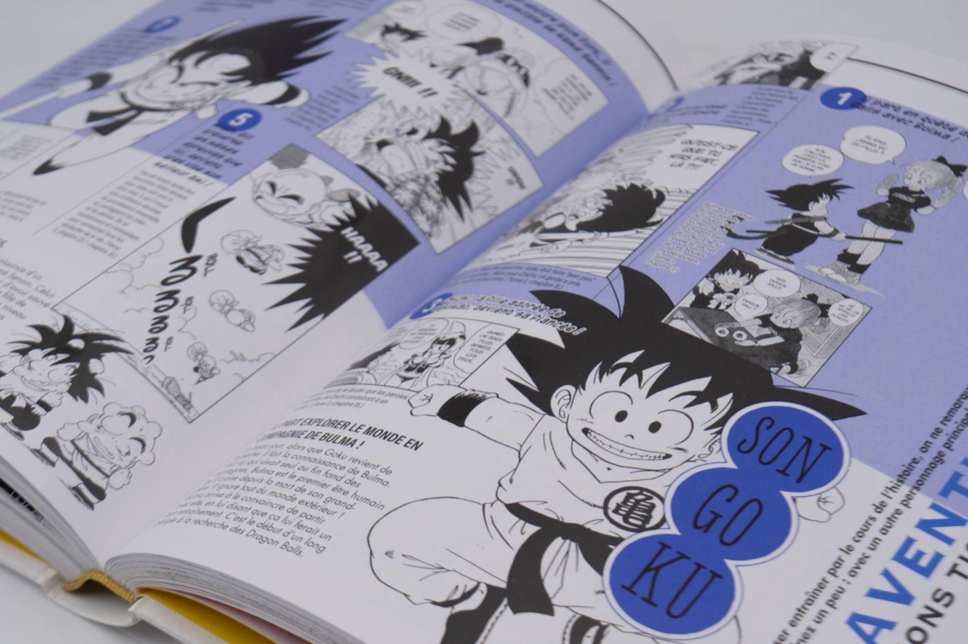 Le Super Livre Dragon Ball