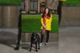 Le DogPhone permet à un chien de passer un appel vidéo à son maître