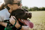 Un jour, l’allergie aux chiens sera peut-être soignée par un vaccin