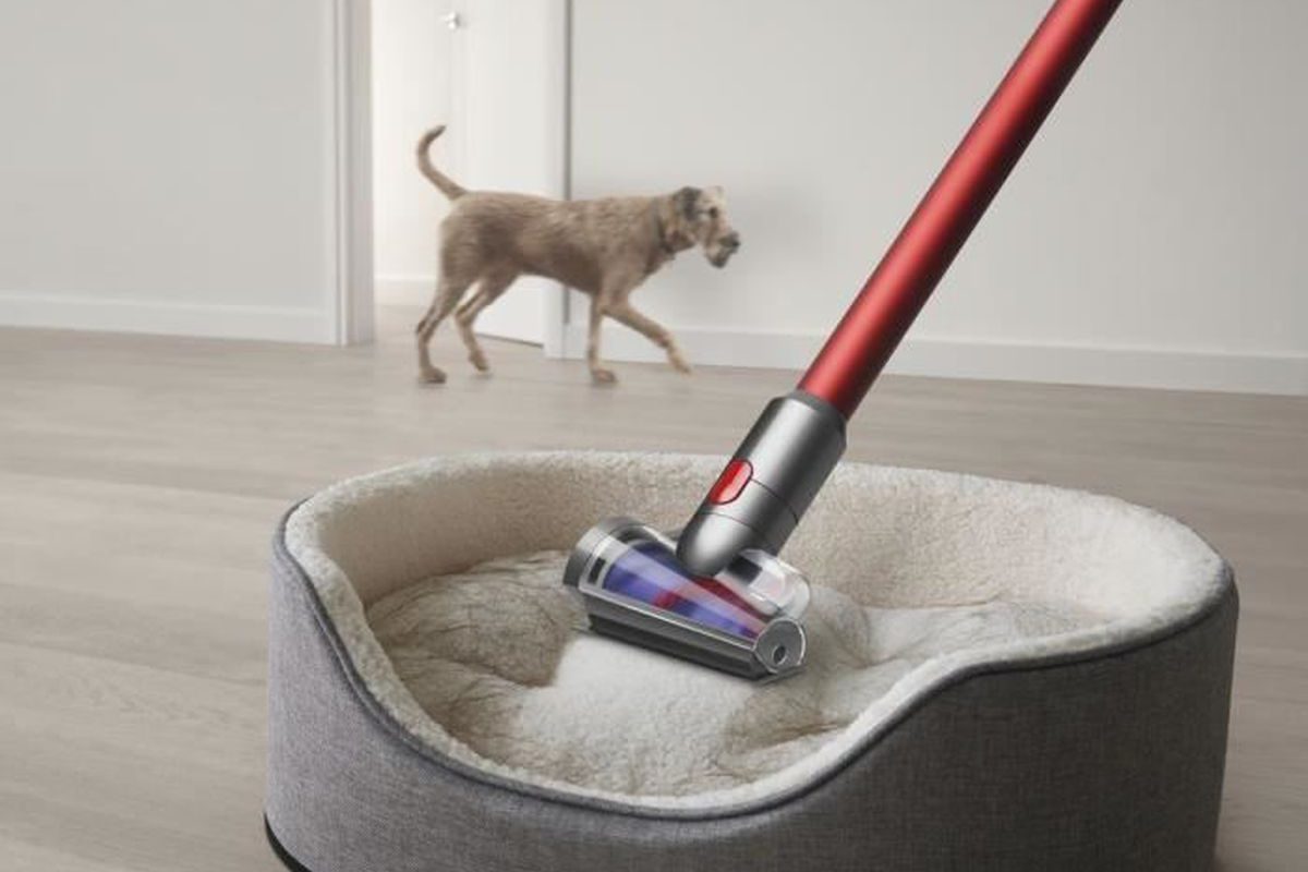 The Dyson Outsize Absolute power stick 
