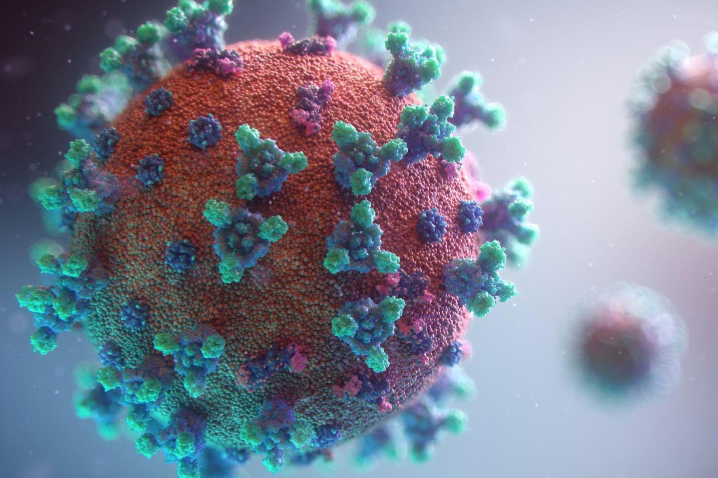 un rendu 3D d'un virus