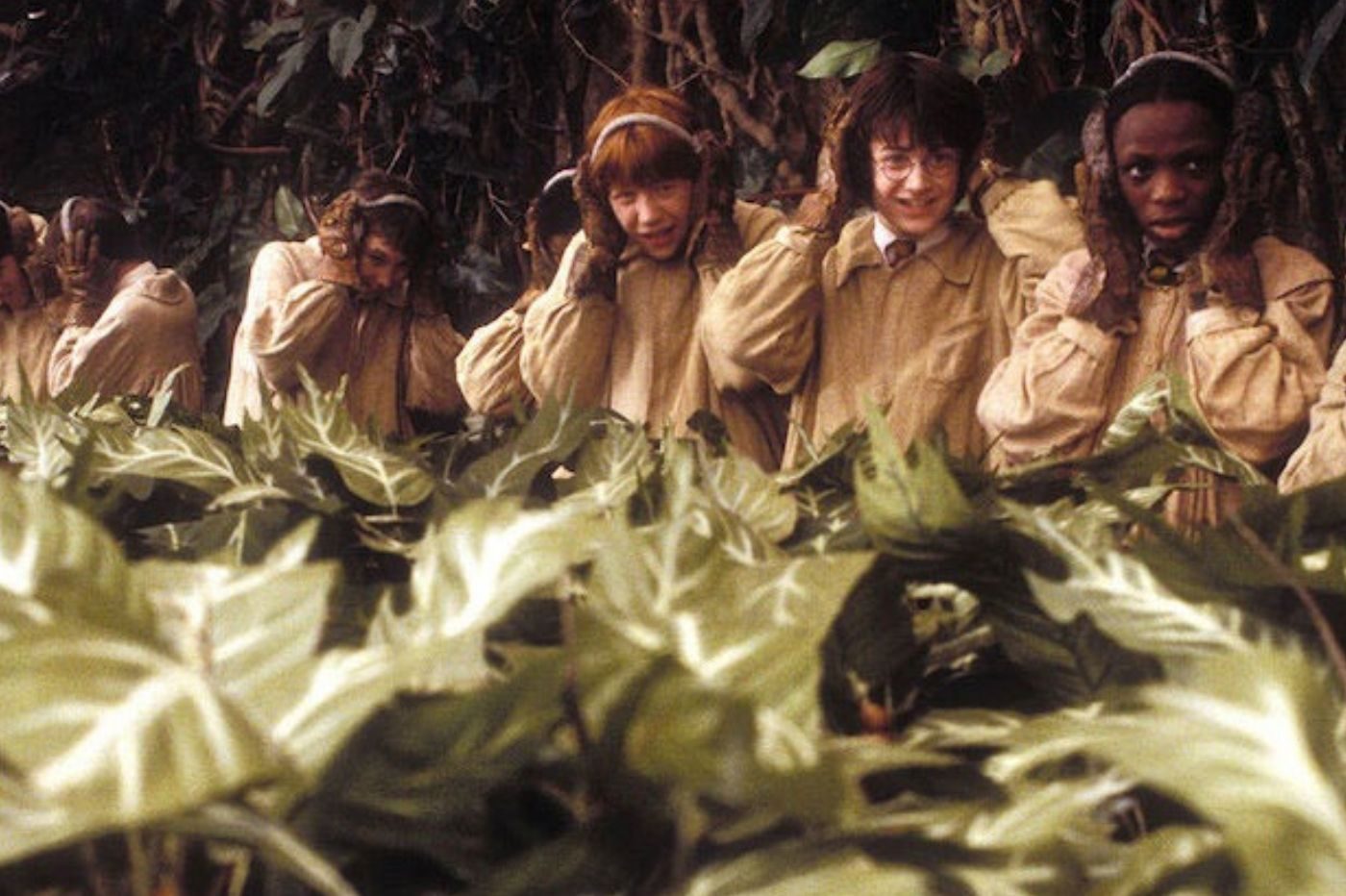 harry potter botanique studios