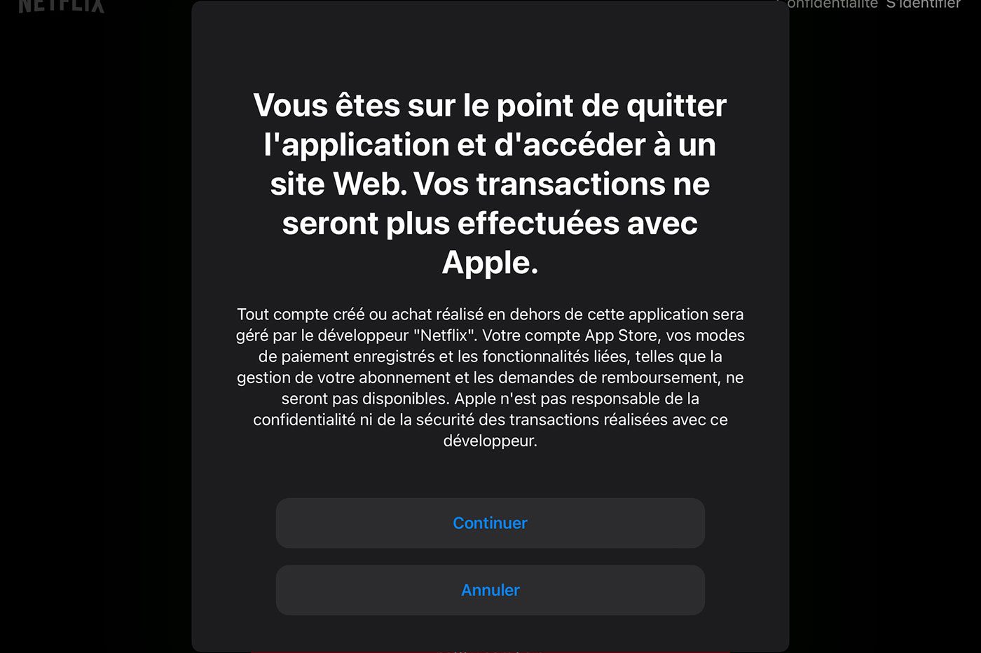 Netflix iPad abonnement