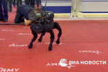 Ce robot-chien soldat a un lance-roquette sur le dos