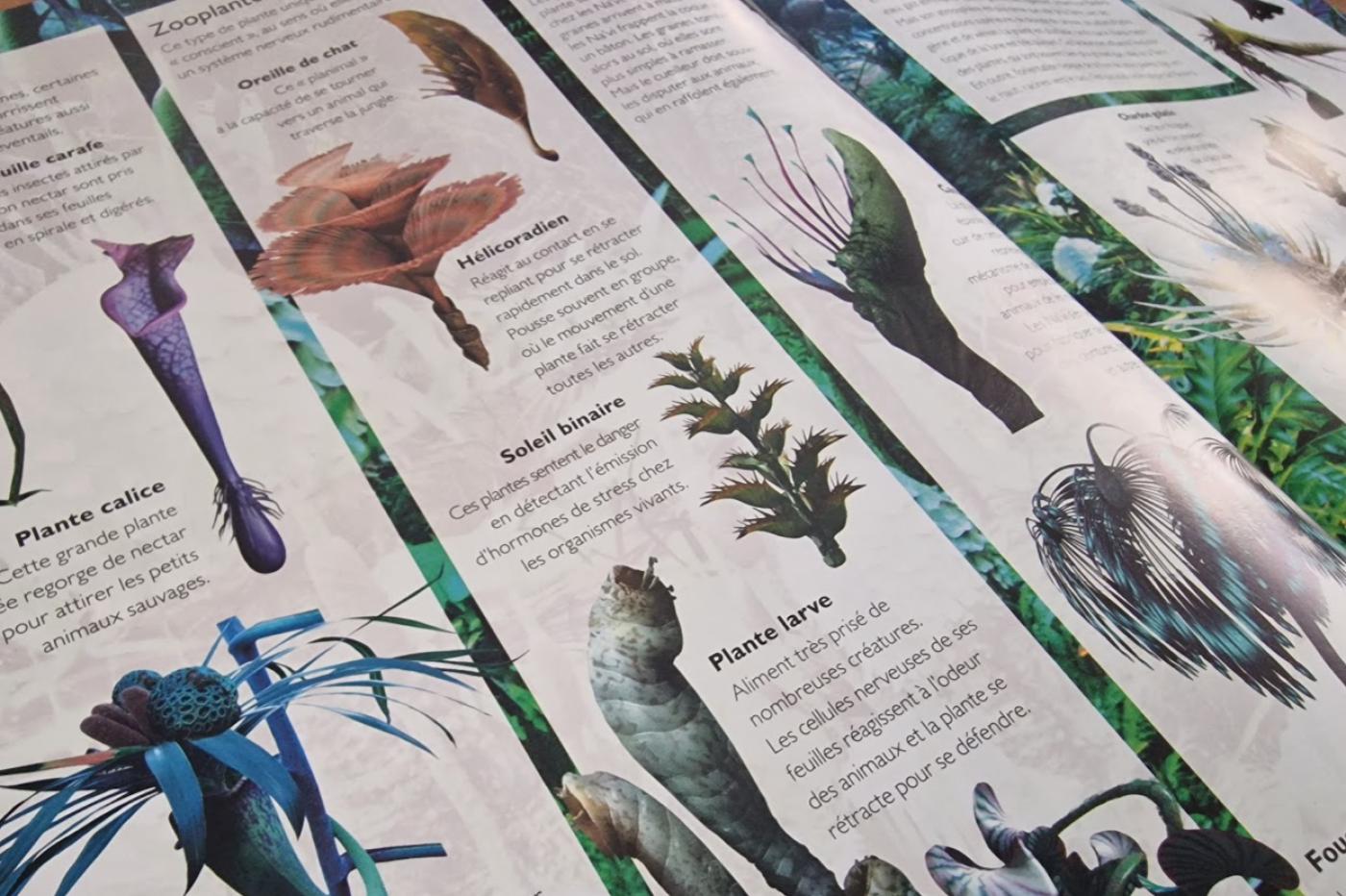 Avatar Guide officiel plantes