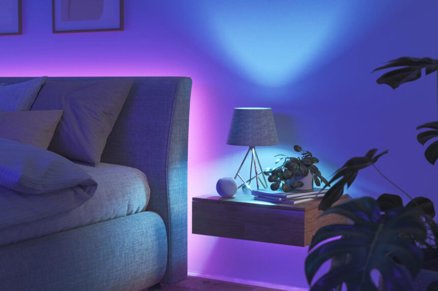 Essentials RGB chambre