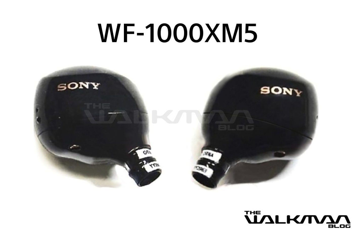 Sony WF-1000XM5