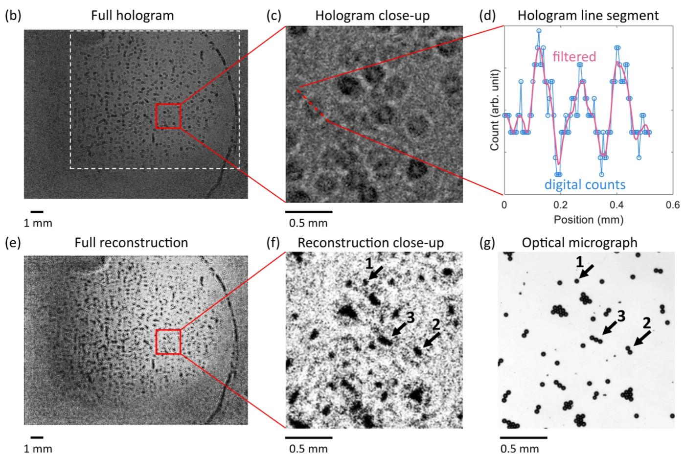Voorbeeldresultaten van een LED-holografische microscoop op nanoschaal