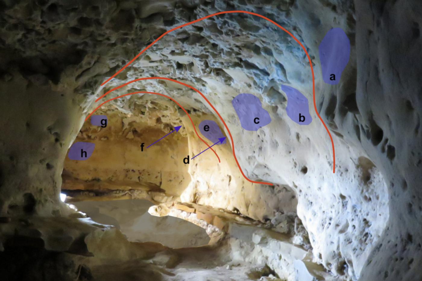 Des gravures néandertaliennes dans la grotte de Roche-Cotard