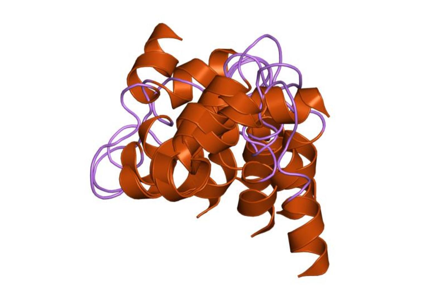 La structure de la ponératoxine