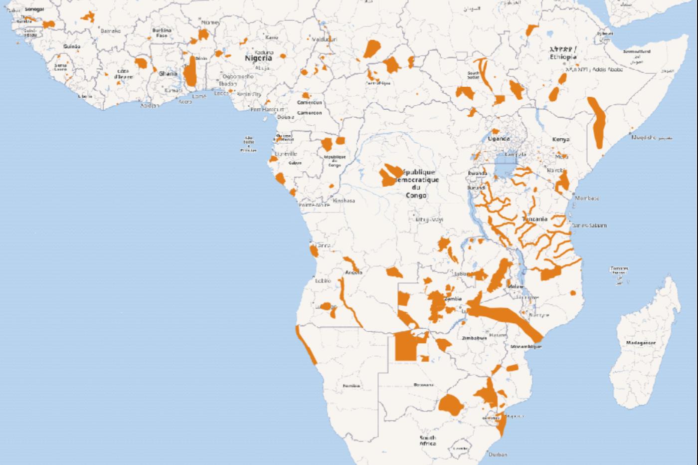 La répartition des hippopotames en Afrique