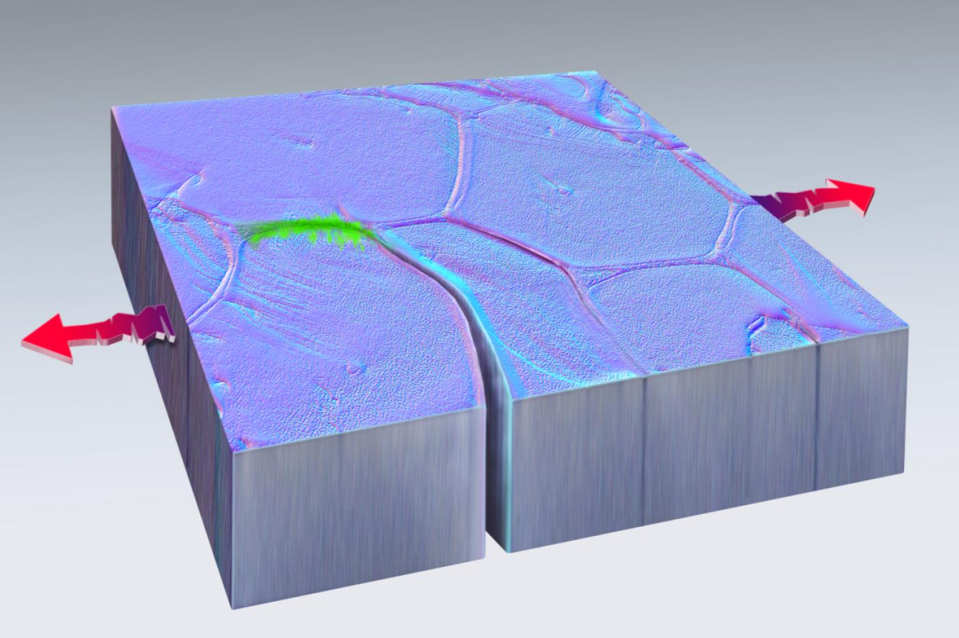 Representación 3D de un segmento de chapa sometido a una fatiga por impacto reparada automáticamente