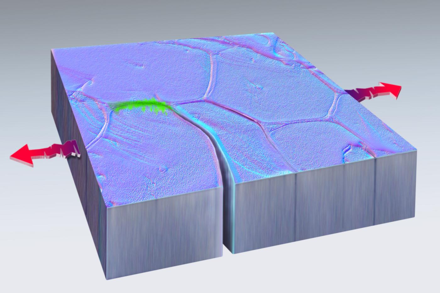 Une représentation 3D du morceau de platine soumis à l'effet de fatigue qui s'est réparé spontanément