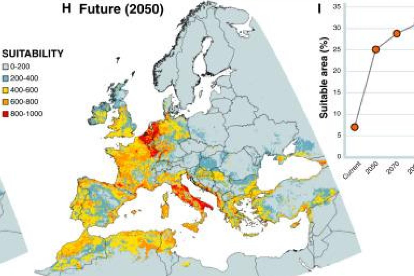Une modélisation de la prolifération des fourmis de feu en Europe d'ici 2050