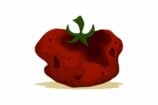 Sur Rotten Tomatoes, des notes truquées et des critiques rémunérées